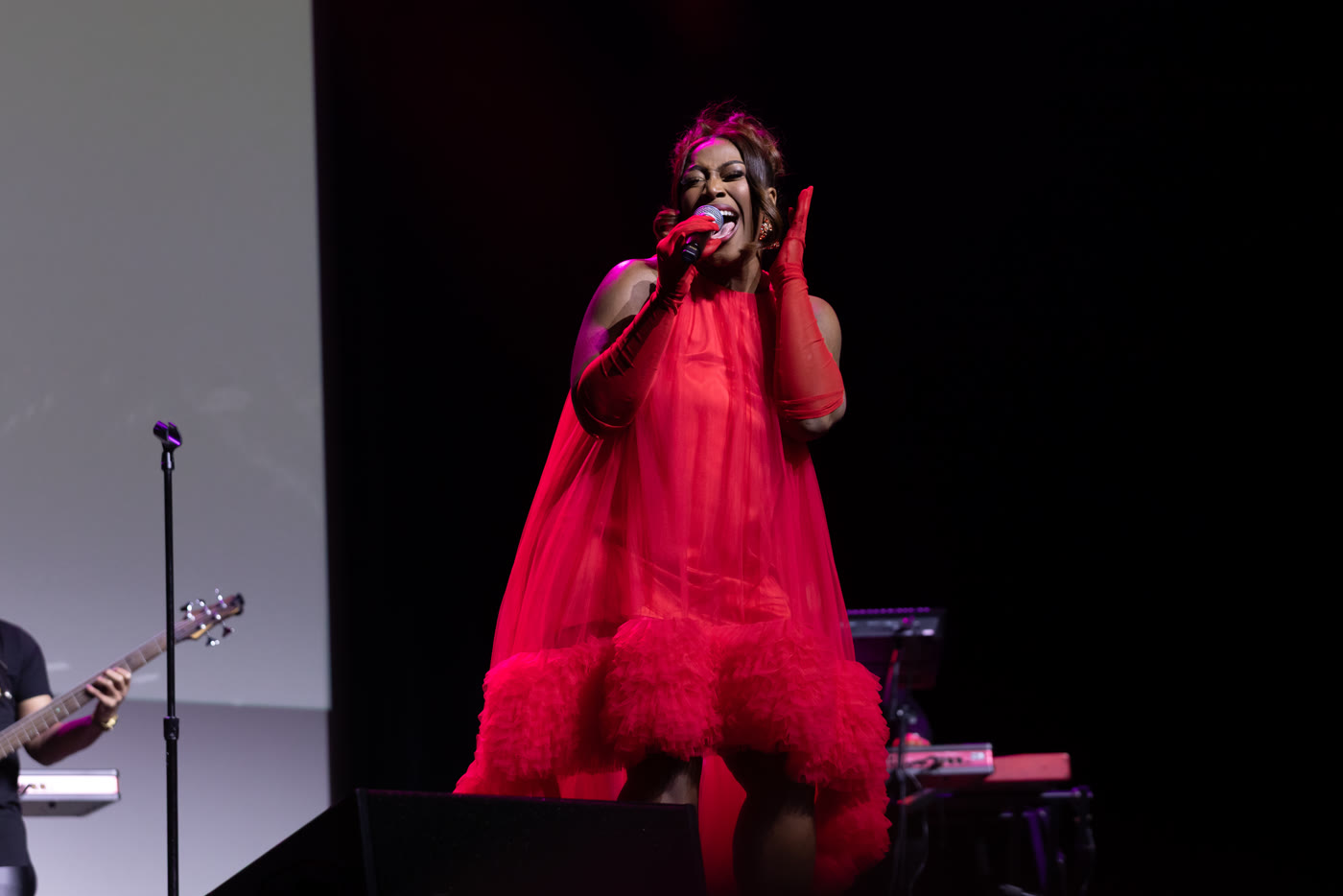 Concert photography